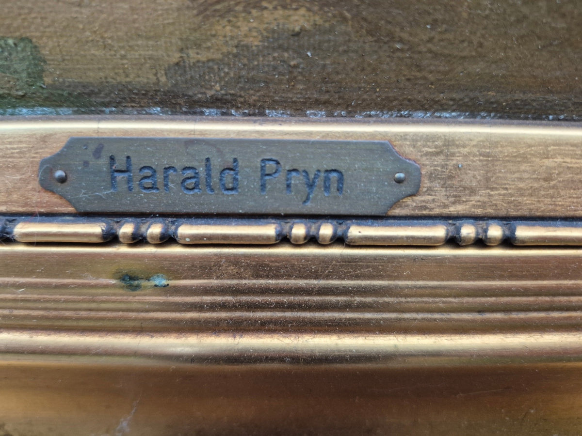 brugte-flerfarvet-maleri-af-harald-pryn-4