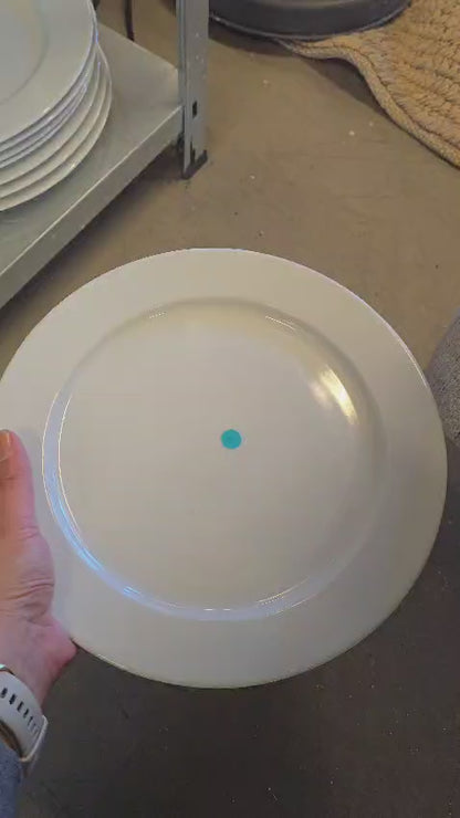 6 Eva Trio Dinner Plates