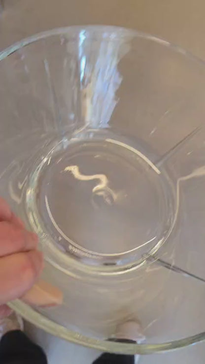 Rosendahl glass bowl